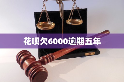 星空体育(中国)官方网站花呗欠6000逾期五年(图1)